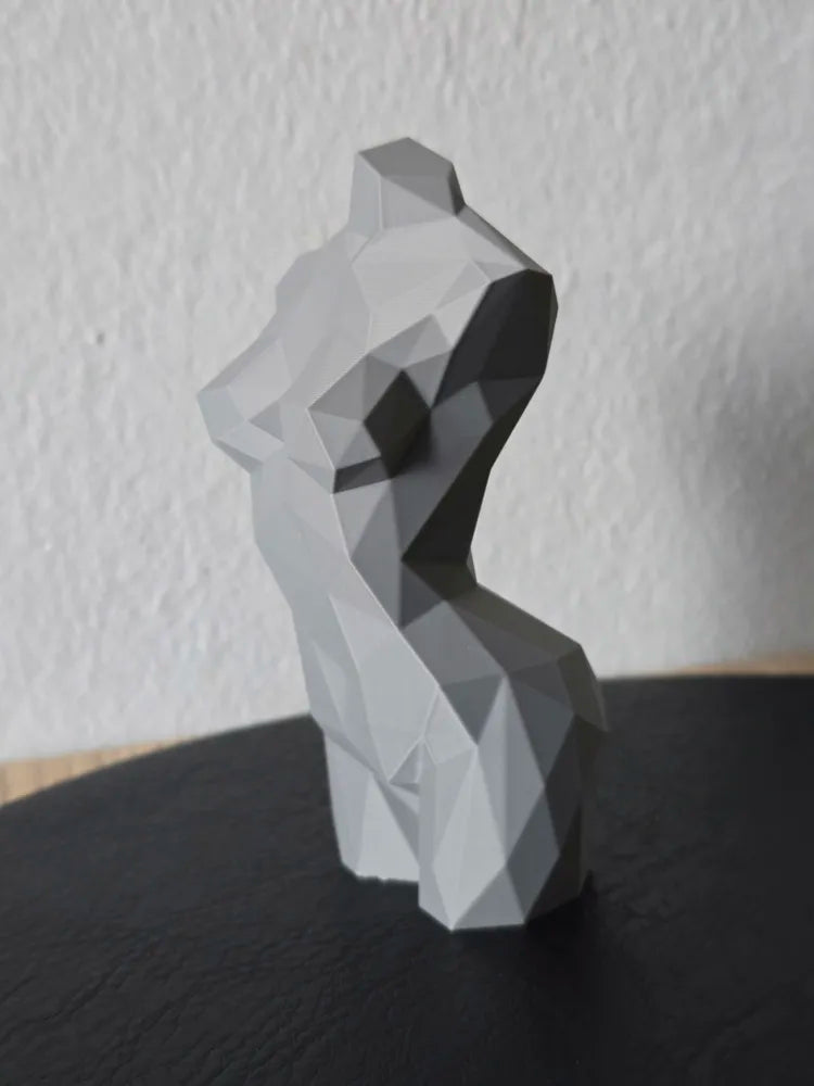 Modern Geometrik Kadın Gövdesi Biblo